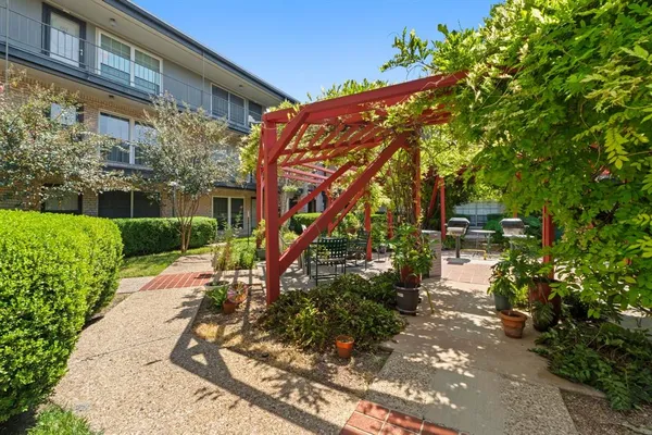 a view of a back yard