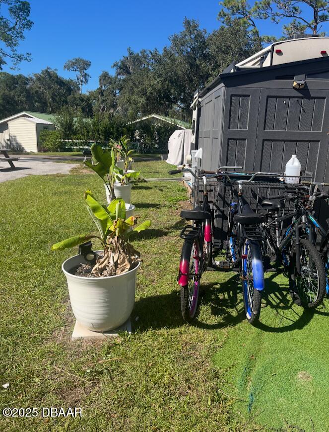 14114 Northeast 252nd Terrace Road Salt Springs, FL 32134 - Photo 14 of 48 12