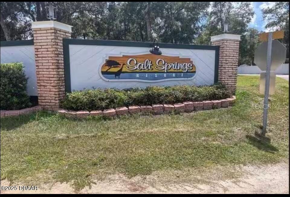 14114 Northeast 252nd Terrace Road Salt Springs, FL 32134 - Photo 15 of 48 IMG_1934