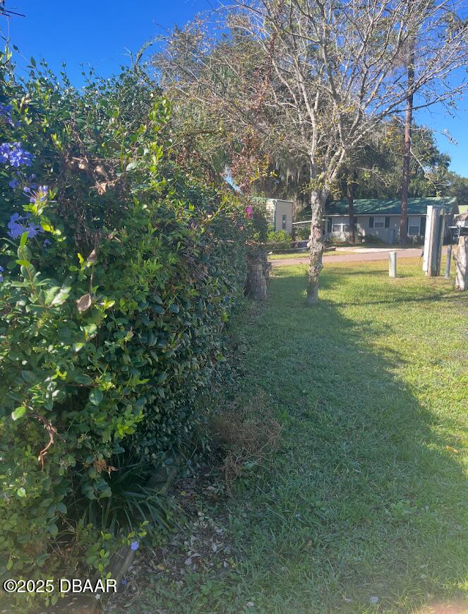 14114 Northeast 252nd Terrace Road Salt Springs, FL 32134 - Photo 18 of 48 13