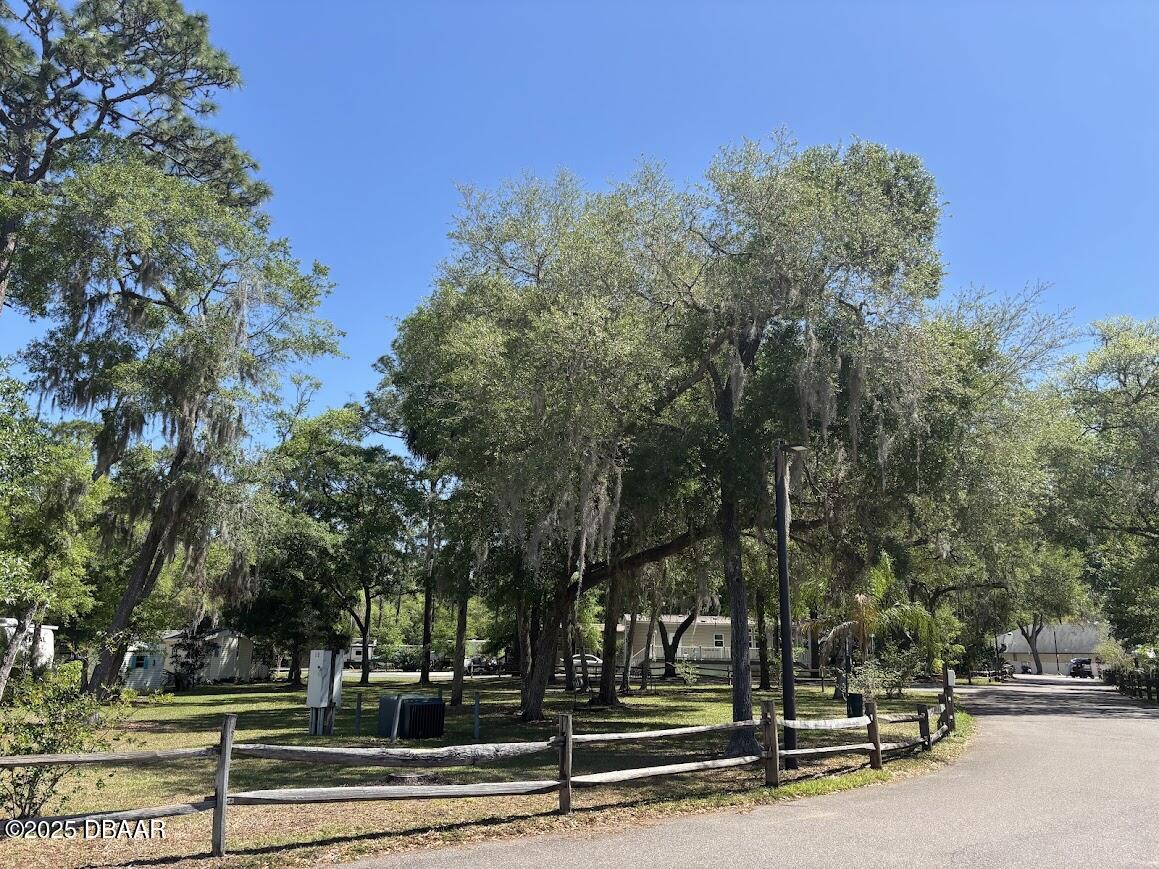 14114 Northeast 252nd Terrace Road Salt Springs, FL 32134 - Photo 7 of 48 salt springs 2