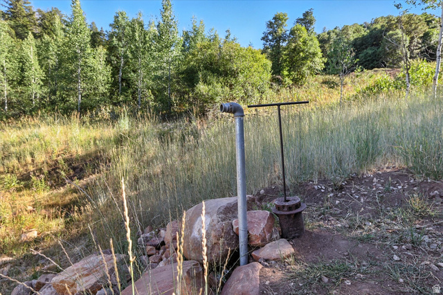 42 Hide Out Paradise, UT 84328 - Photo 41 of 56 Water storage tank fill station
