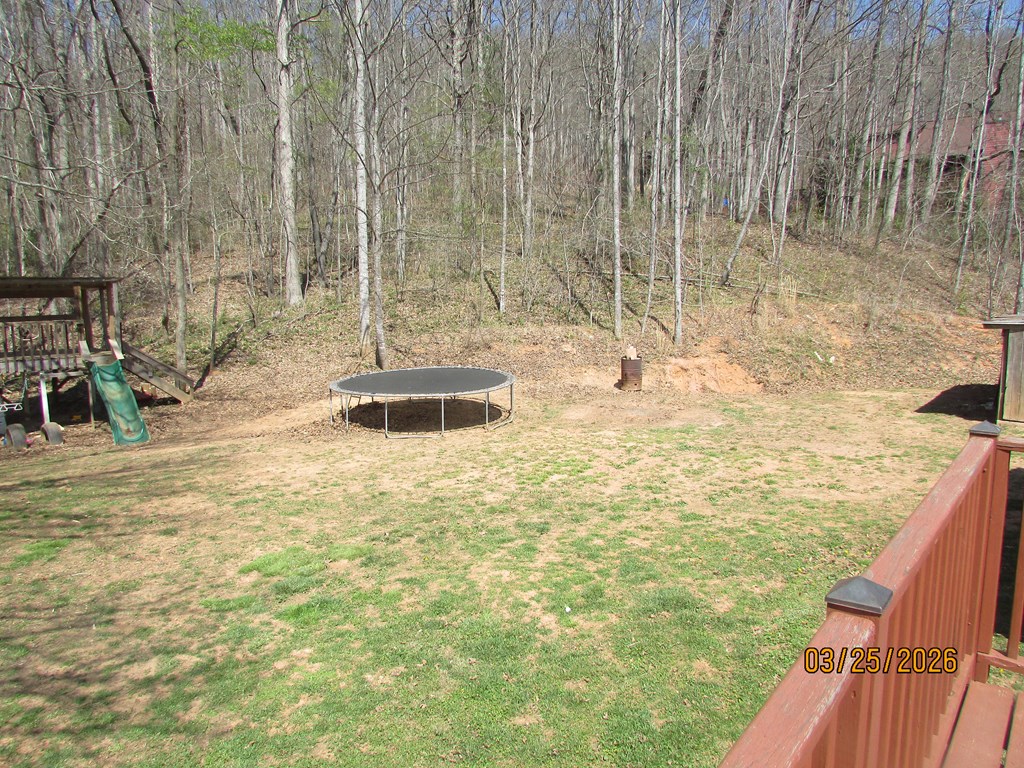 743 Hunter Road Hayesville, NC 28904 - Photo 25 of 43