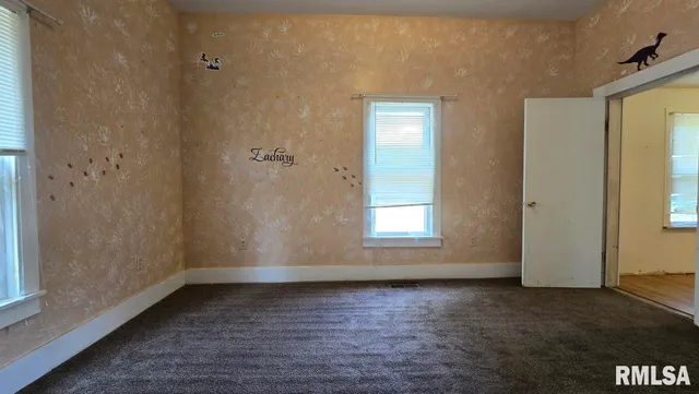 650 Old Rte 146 Loop, Vienna, IL 62995