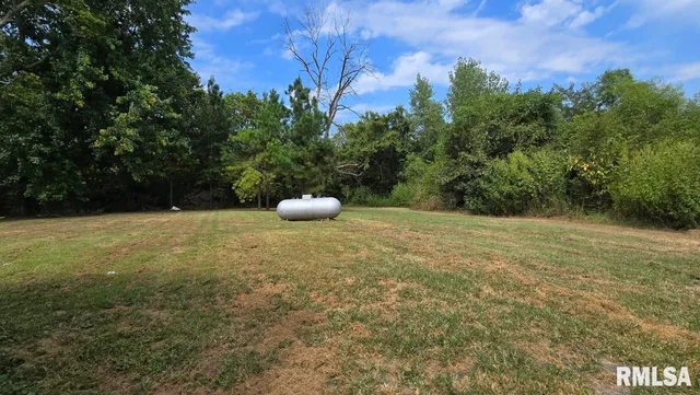 650 Old Rte 146 Loop, Vienna, IL 62995