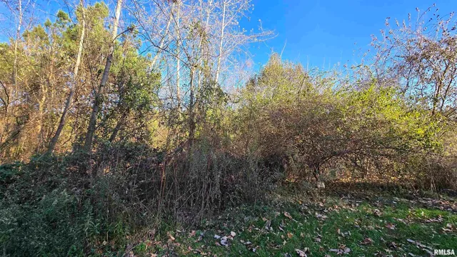 650 Old Rte 146 Loop, Vienna, IL 62995