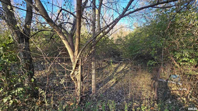 650 Old Rte 146 Loop, Vienna, IL 62995