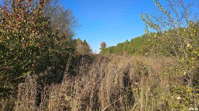 650 Old Rte 146 Loop, Vienna, IL 62995