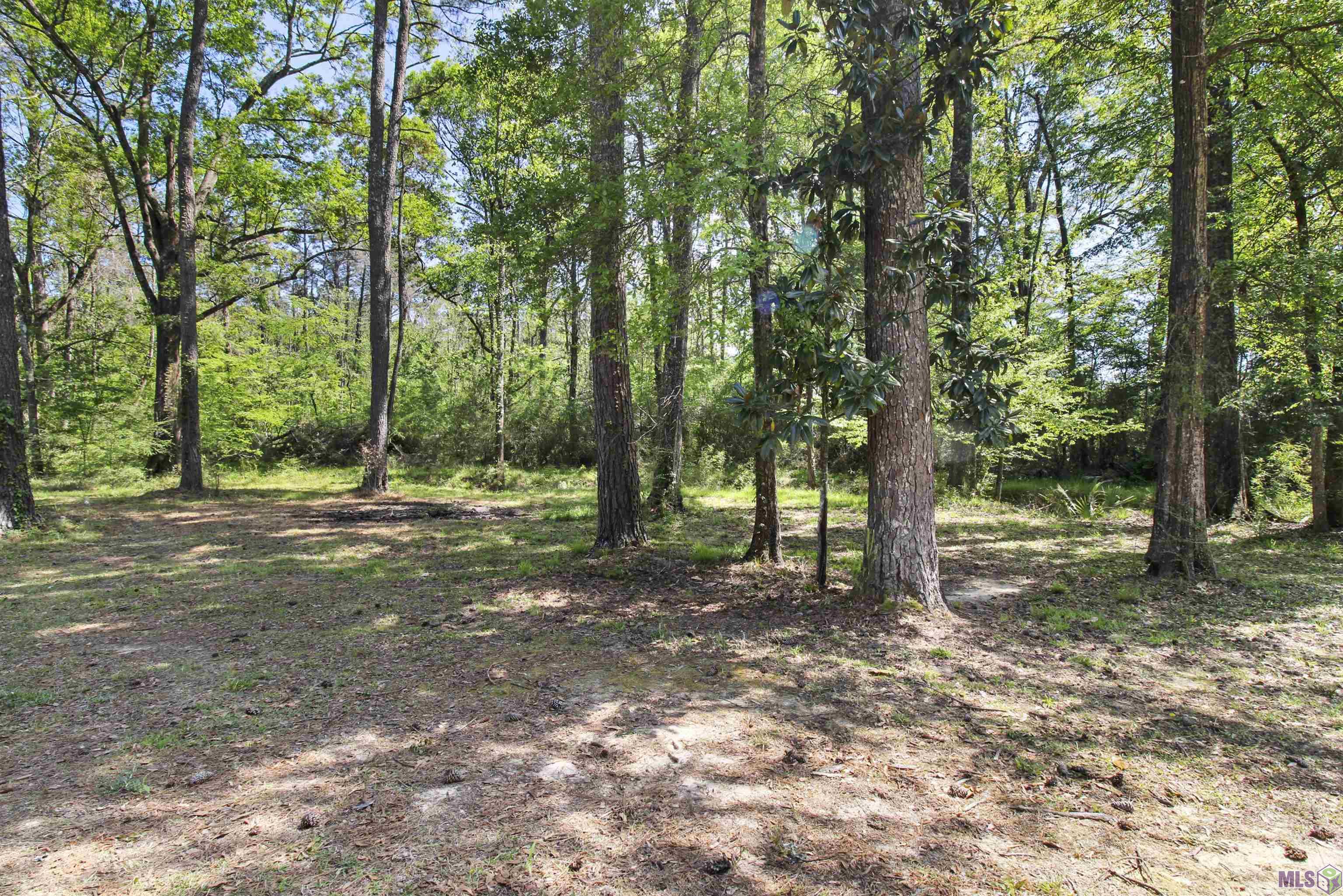 9464 Springfield Road Denham Springs, LA 70706 - Photo 22 of 26
