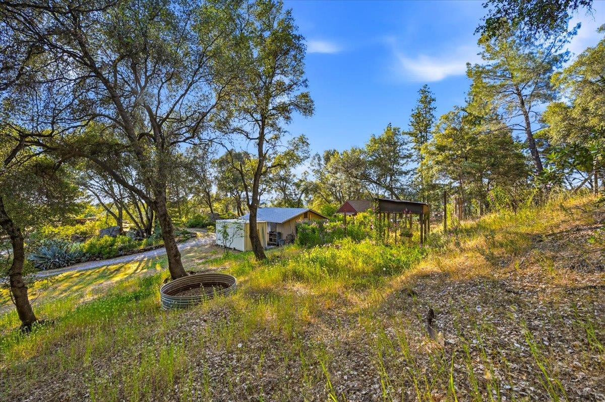 19235 Bumpy Road Grass Valley, CA 95949 - Photo 44 of 60