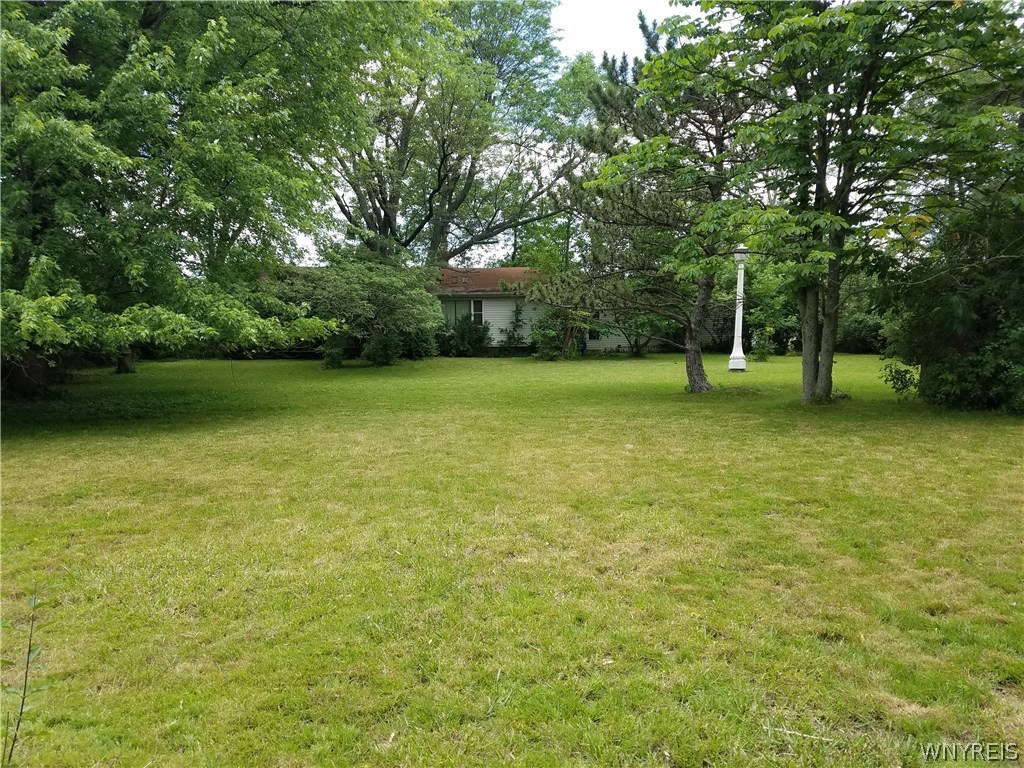445 Maple Road Amherst, NY 14221 - Photo 1 of 1 Gallery Image 1