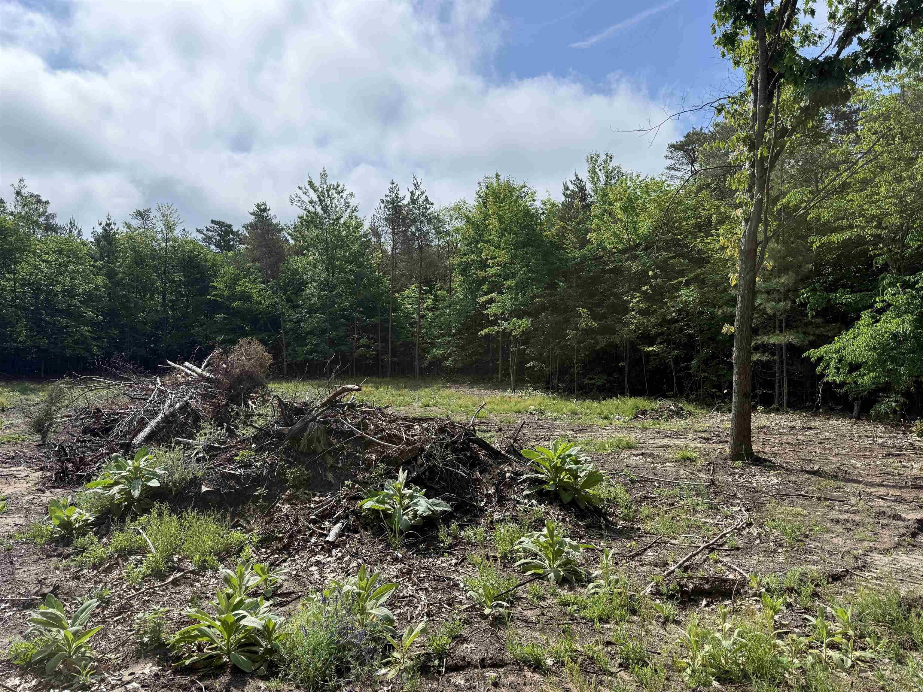 19493 Paradise Ridge Trail Cedar, MI 49684 - Photo 8 of 19