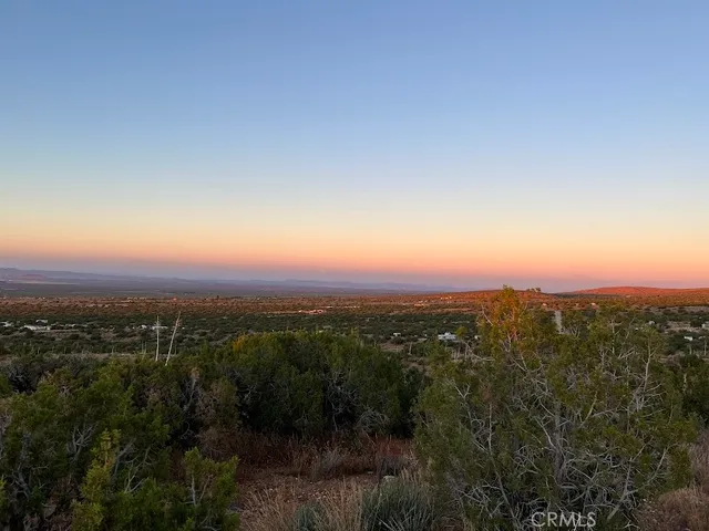 a view of a city with lush green forest