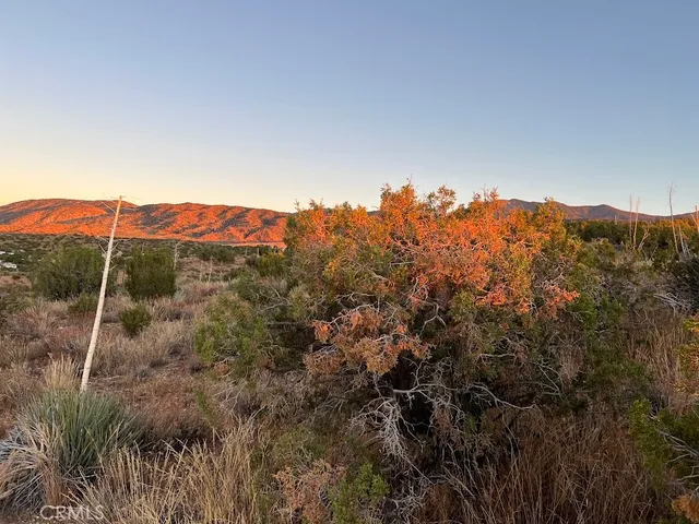 an aerial view of residential building and trees