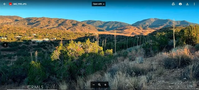 a view of a city with lush green forest