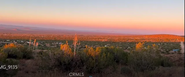 a view of a backyard of a house