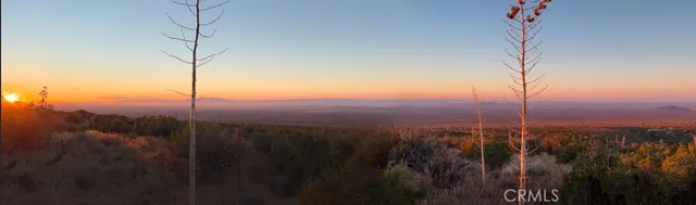 a view of a city with lush green forest