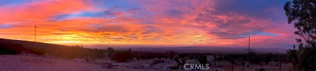 a view of a lush green field