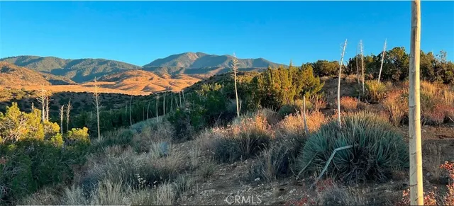 a view of city and ocean