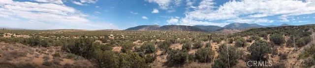 a view of a city with lush green forest