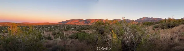 a view of a backyard of a house with a street