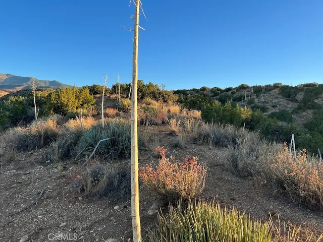 $90,000 | 0 Vac/vic Avenue, Llano, CA 93544