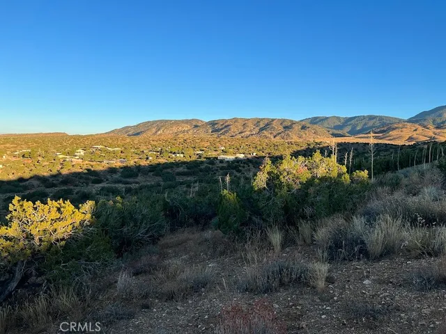 $90,000 | 0 Vac/vic Avenue, Llano, CA 93544