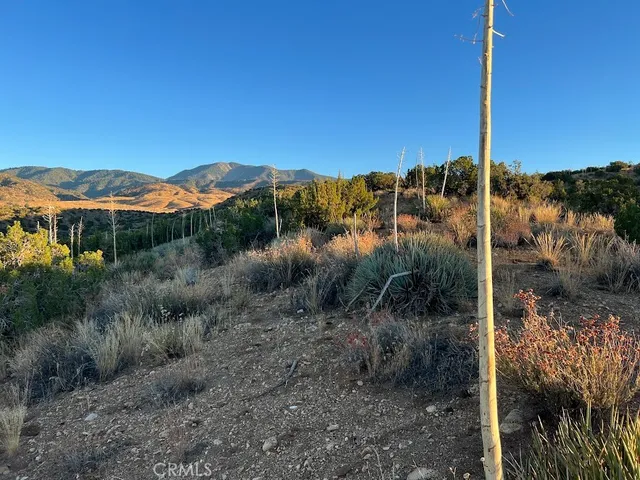 $90,000 | 0 Vac/vic Avenue, Llano, CA 93544