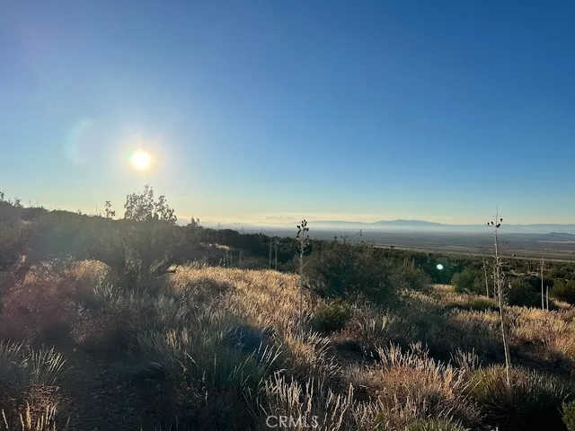 $90,000 | 0 Vac/vic Avenue, Llano, CA 93544