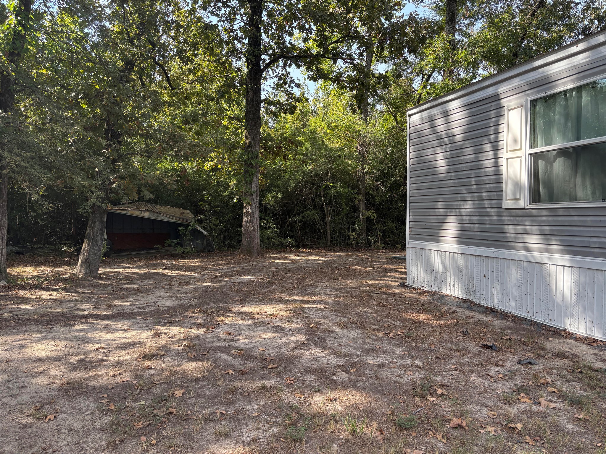 1311 Big Hawg Road Trinity, TX 75862 - Photo 6 of 22 Yard between the shop and home.