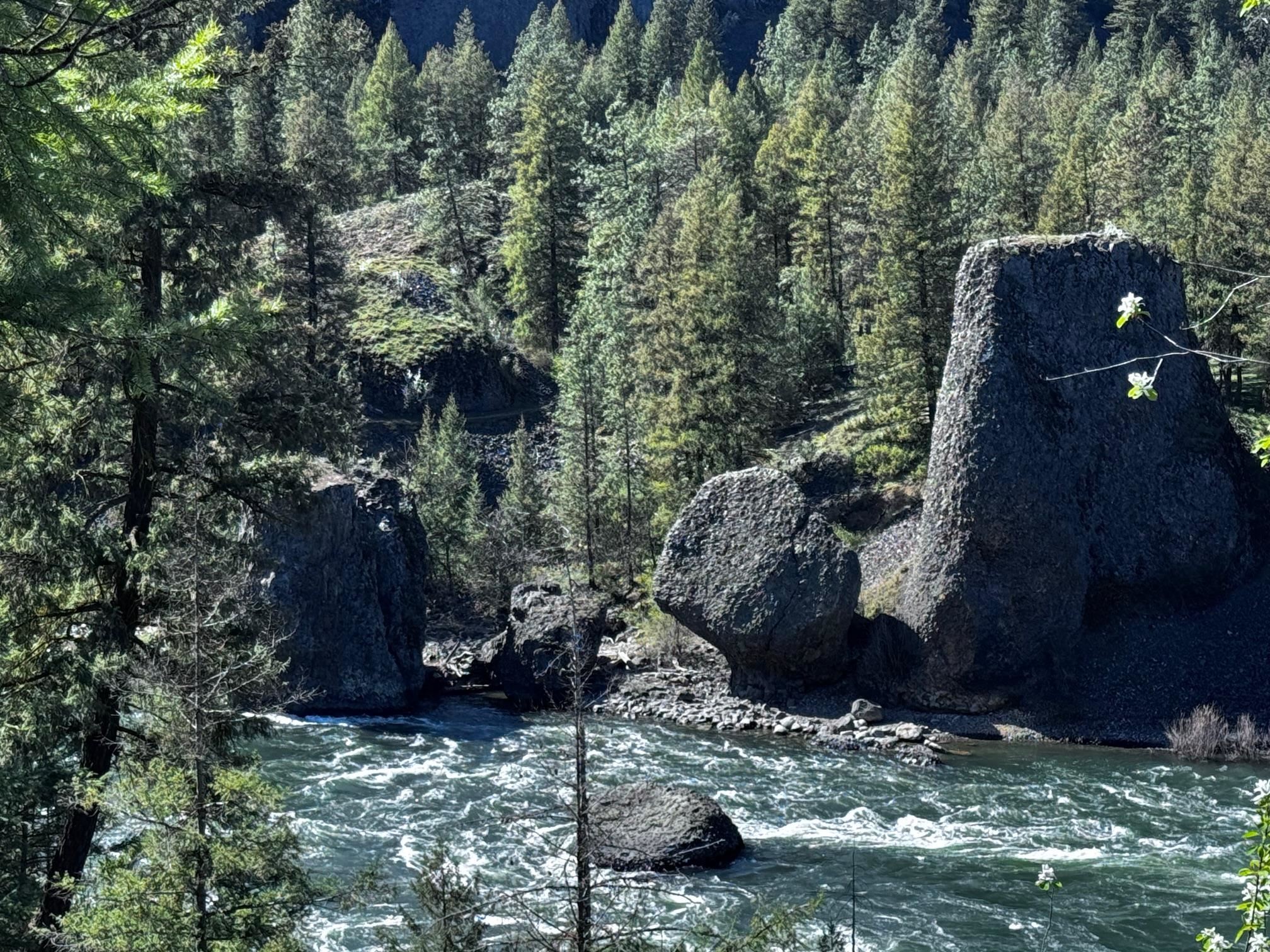 7121 North Skykomish Street Spokane, WA 99208 - Photo 47 of 50