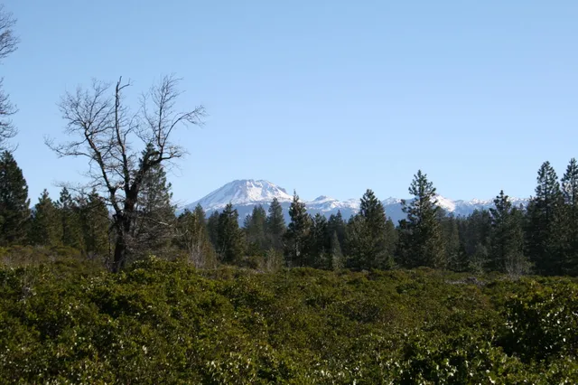 $75,000 | Lot # La Jolla Way, Shingletown, CA 96088