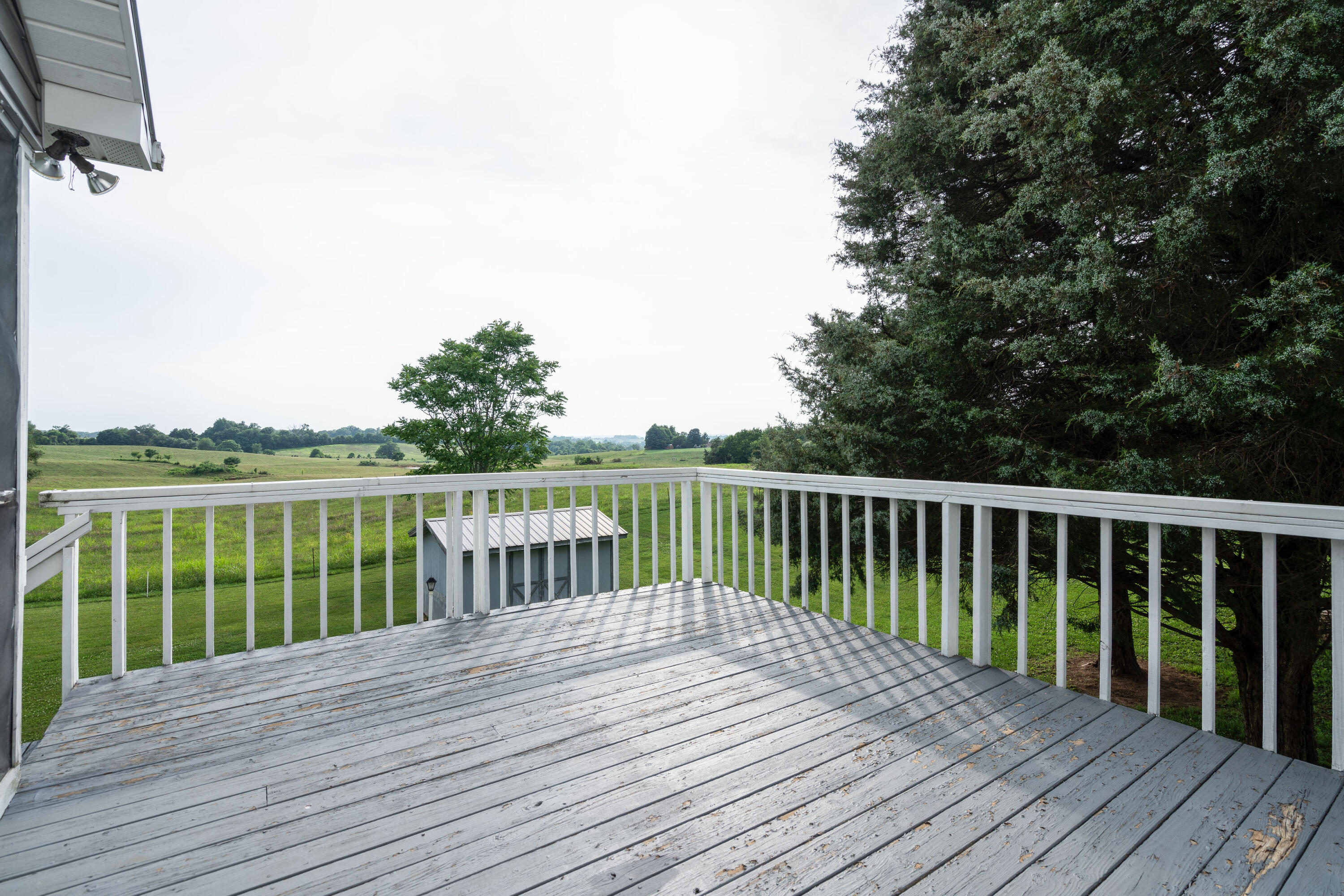 135 Farmington Heights Road Limestone, TN 37681 - Photo 37 of 45 DSC04451-Edit