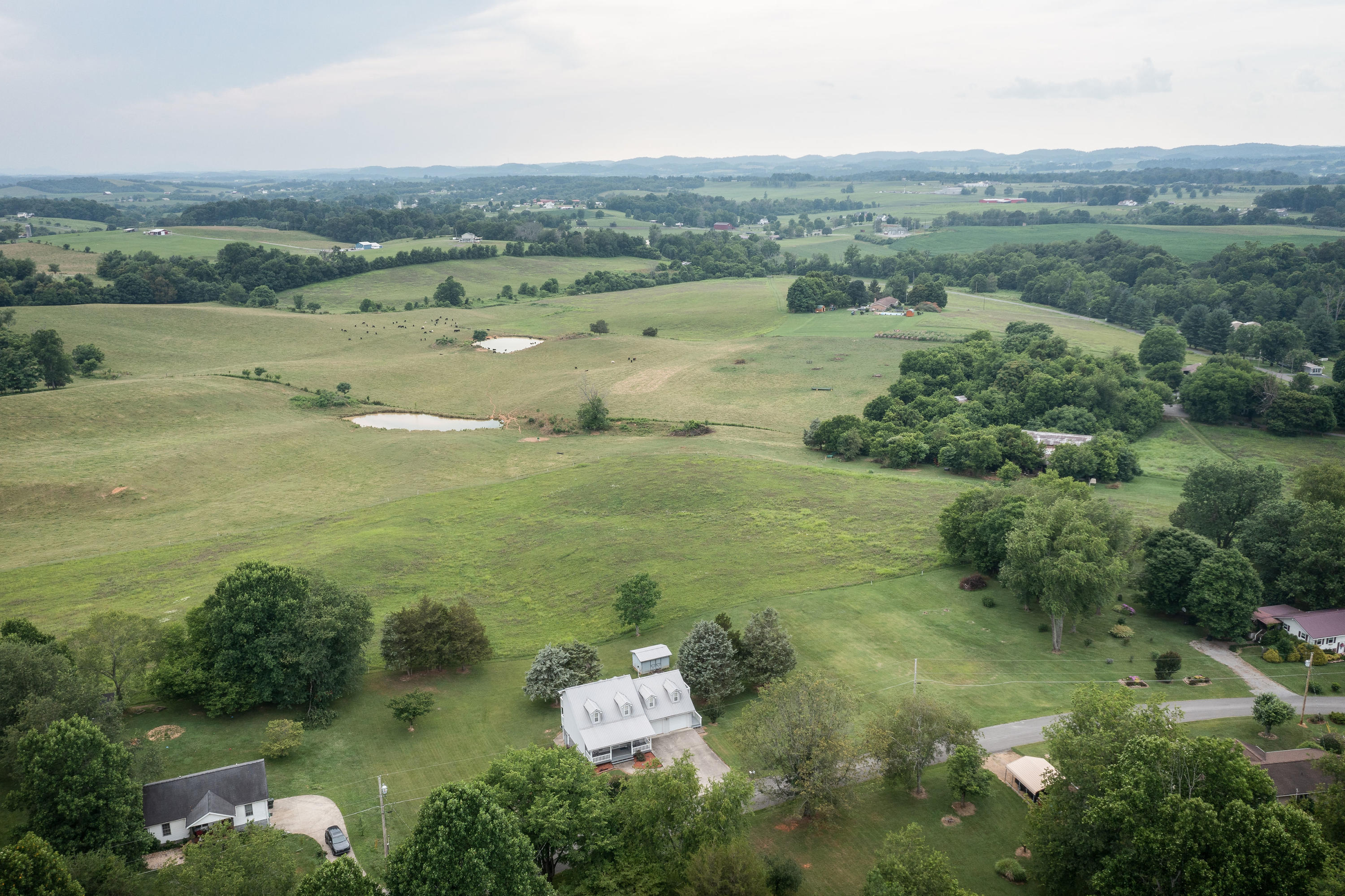 135 Farmington Heights Road Limestone, TN 37681 - Photo 6 of 45 DJI_0922-Edit