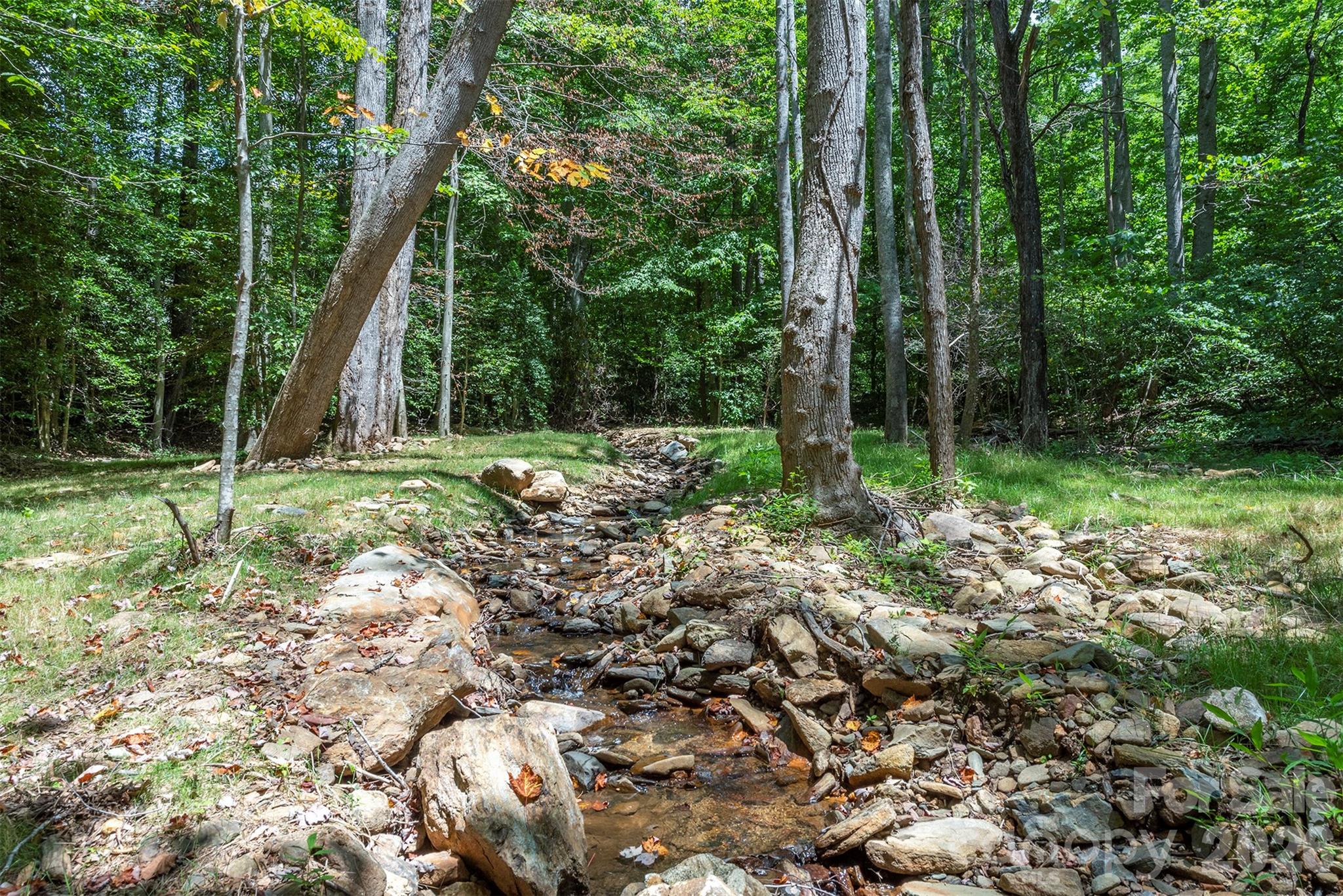290 Patton Hill Road Swannanoa, NC 28778 - Photo 4 of 40