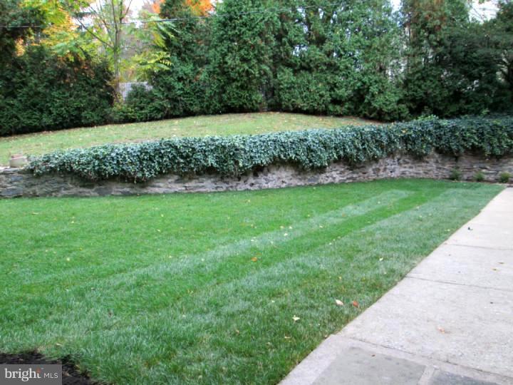59 North Waterloo Road Devon, PA 19333 - Photo 5 of 22 View in Back