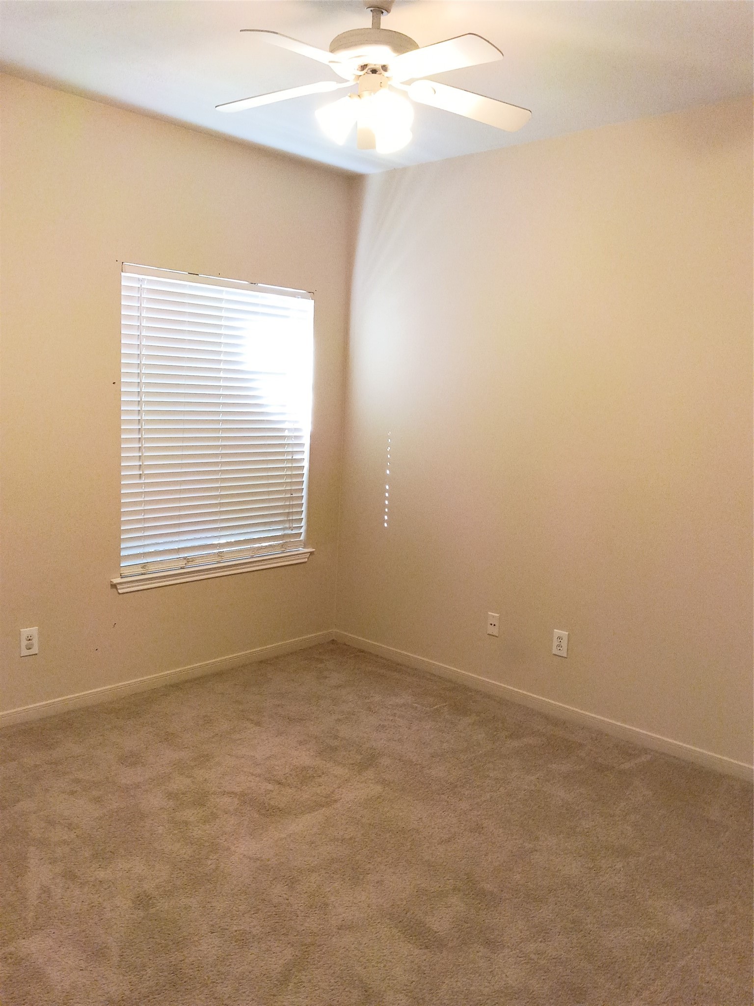 23902 Spring Dane Drive Spring, TX 77373 - Photo 11 of 11