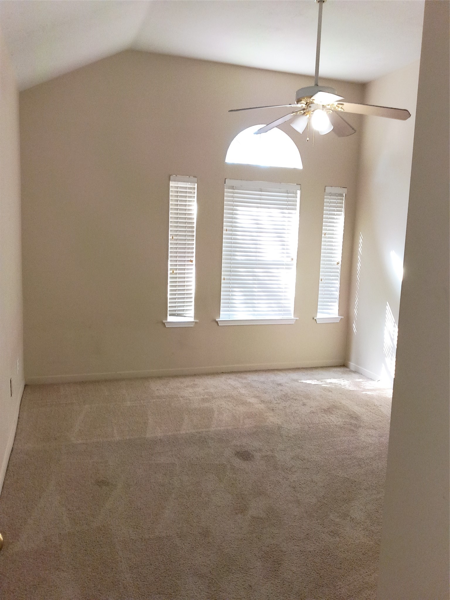 23902 Spring Dane Drive Spring, TX 77373 - Photo 10 of 11