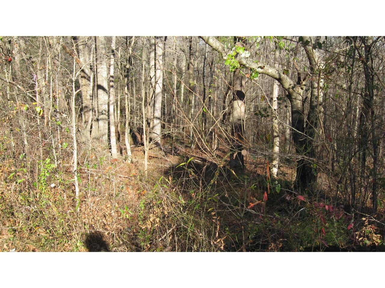 0 Garr Road, Unit TRACT 2 Jackson, GA 30233 - Photo 1 of 1