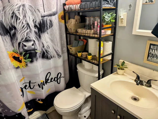 a bathroom with a sink mirror vanity and toilet