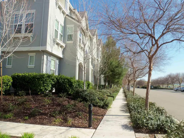 a view of a pathway both side of house