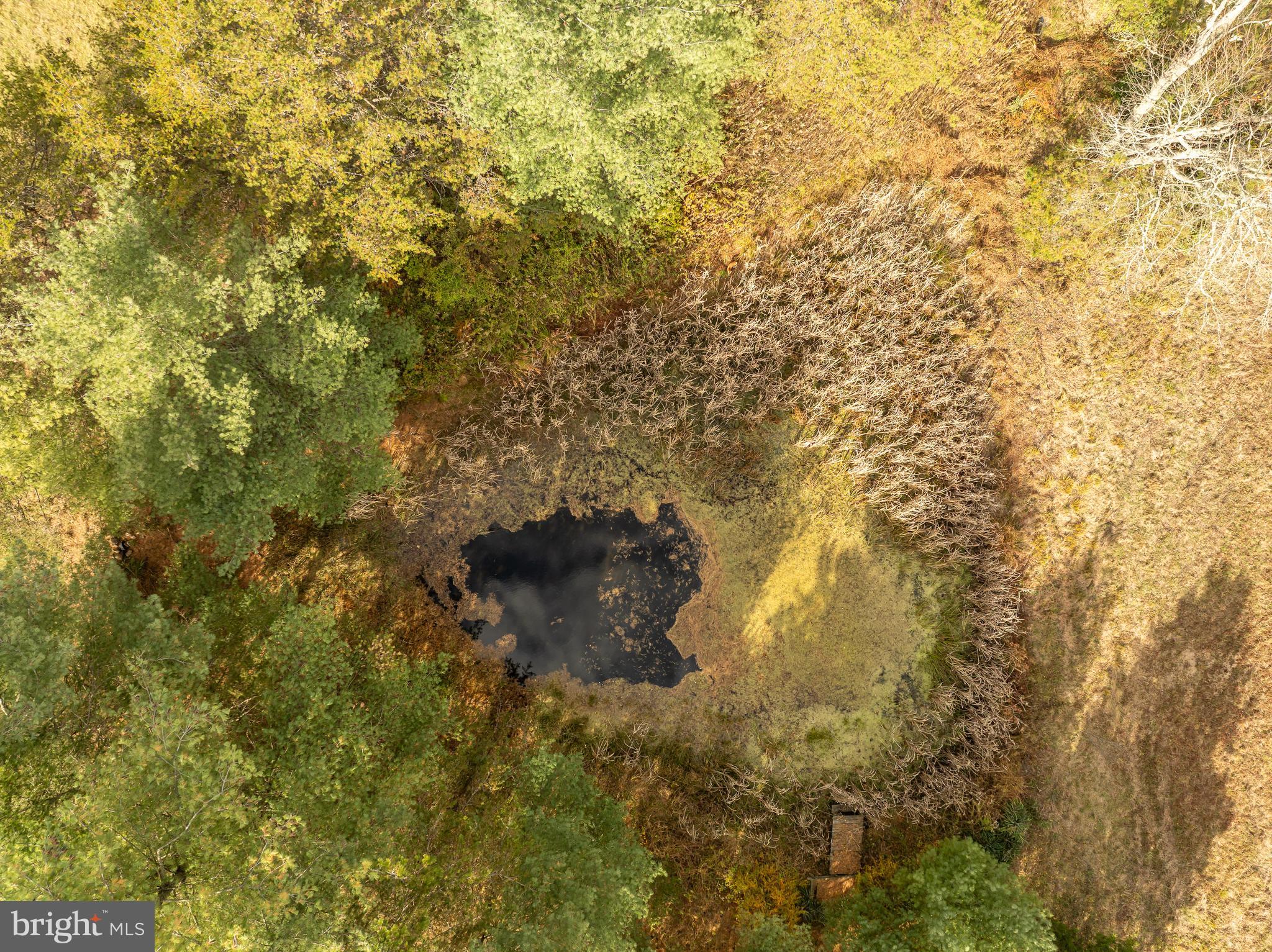 4485 Smokey Hollow Road Bloomery, WV 26817 - Photo 24 of 78 Private pond