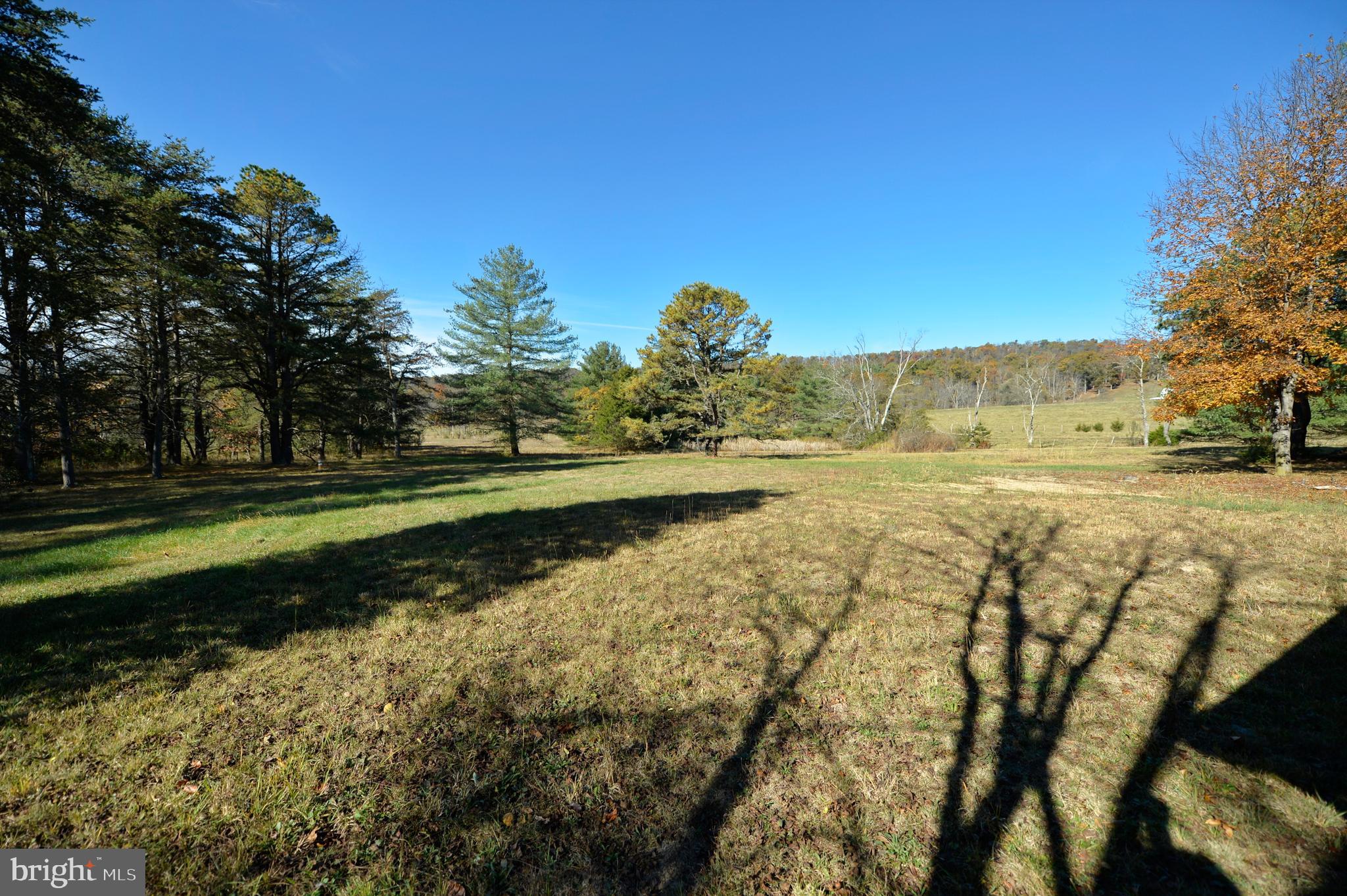4485 Smokey Hollow Road Bloomery, WV 26817 - Photo 25 of 78 Back yard to pond