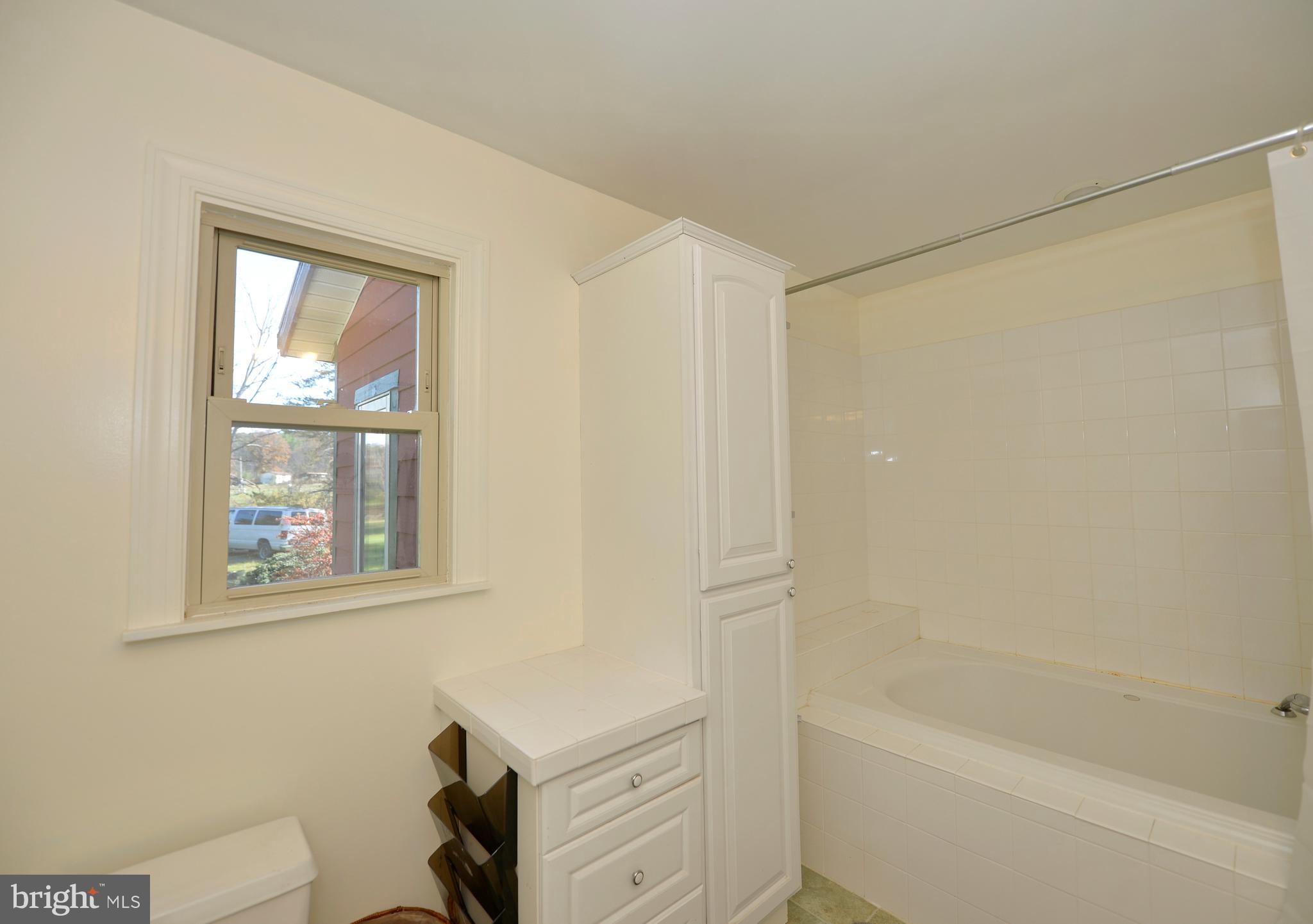 4485 Smokey Hollow Road Bloomery, WV 26817 - Photo 45 of 78 Primary bedroom bath view 2