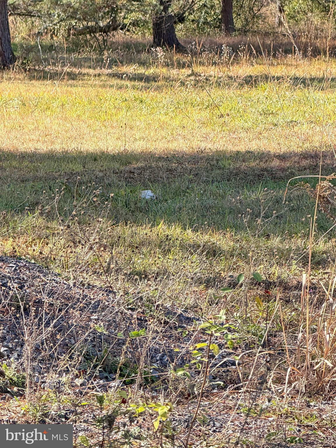 4485 Smokey Hollow Road Bloomery, WV 26817 - Photo 62 of 78 Camper pad side waste dump