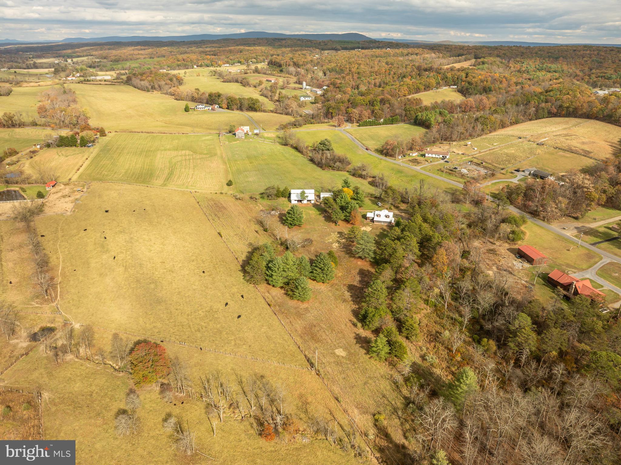 4485 Smokey Hollow Road Bloomery, WV 26817 - Photo 66 of 78