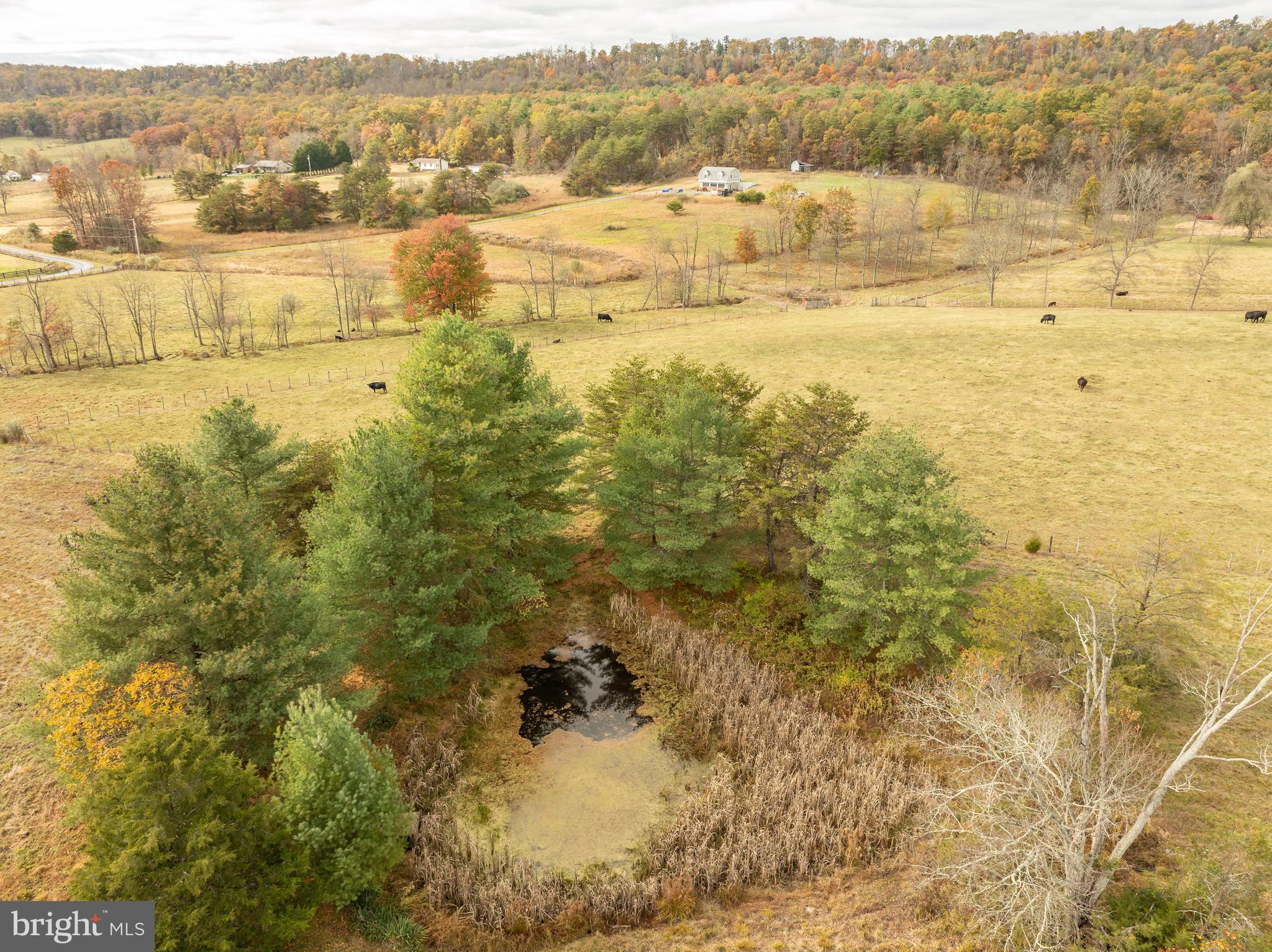 4485 Smokey Hollow Road Bloomery, WV 26817 - Photo 74 of 78