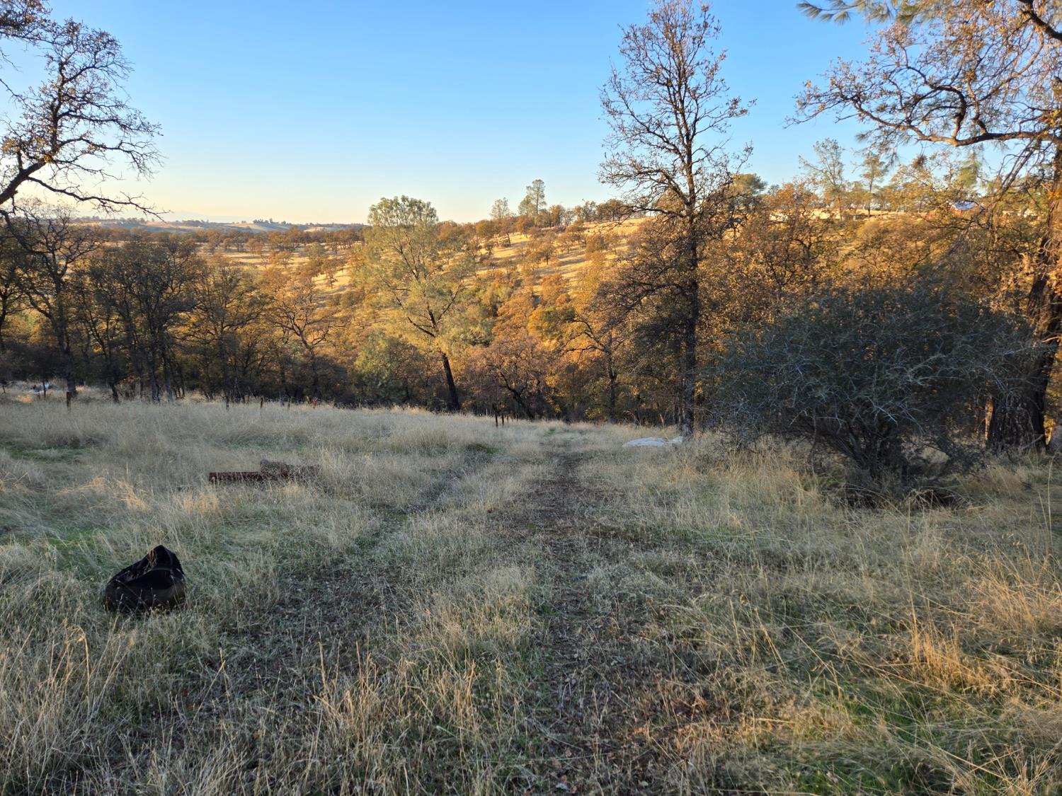 0 Avacado Road Oroville, CA 95914 - Photo 1 of 14