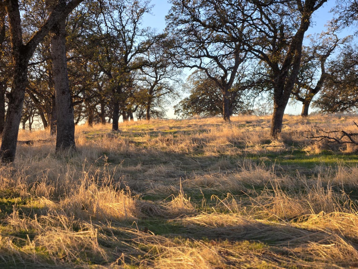 0 Avacado Road Oroville, CA 95914 - Photo 2 of 14 a view of a lake view