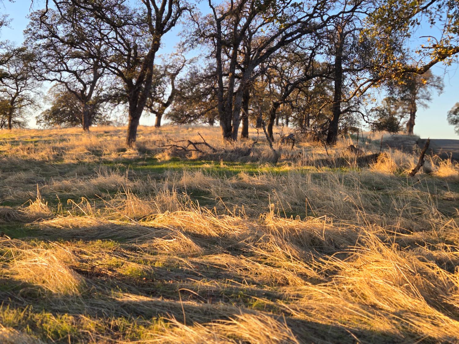 0 Avacado Road Oroville, CA 95914 - Photo 3 of 14 a view of a lake with houses